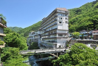 新緑に包まれ利根川を望む水上館