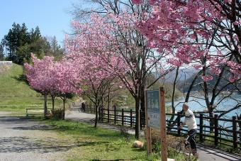 春の赤谷湖。湖畔には遊歩道がある