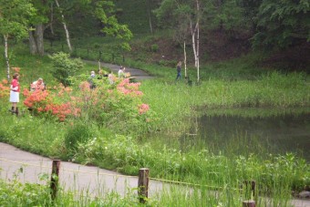 湯上がりには公園を散策