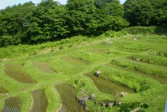 山里を感じさせる棚田は市民農園