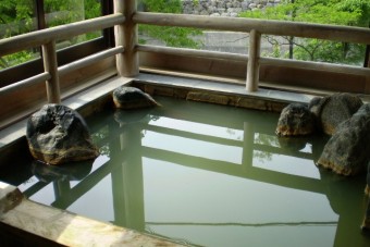 白濁した湯には炭酸が溶け込んでいる