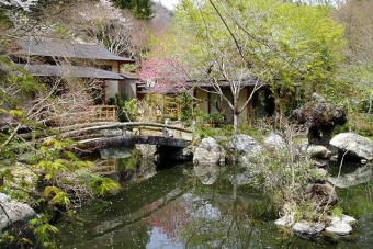 庭園に掛かる石橋