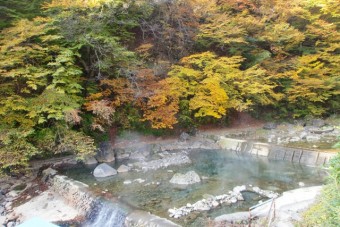 自然の中では誰もが開放される。野趣の極みともいえる