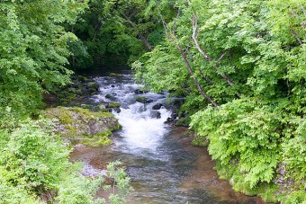 子ども心が蘇れば清流で水遊びを