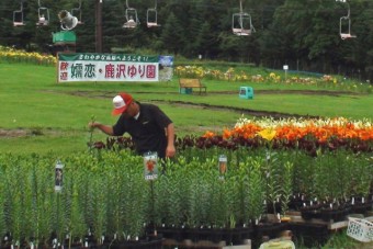 600m遊歩道を散策。嬬恋・鹿沢ゆり園