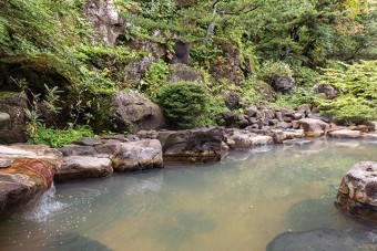 薄緑色の濁り湯が特徴の天然温泉