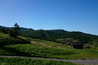 限界高度に近く、この先は植生が一変する